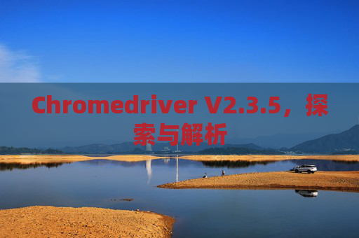 Chromedriver V2.3.5，探索与解析
